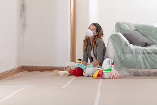Reliable Mold Cleanup contractor in Beccaria, PA by WQB Mold Removal